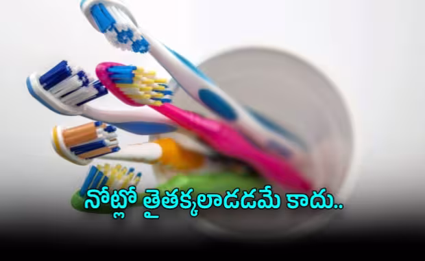 పాత టూత్&zwnj;బ్రష్&zwnj;కు పునర్జన్మ