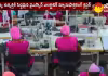 వాణిజ్య ఉత్పత్తికి సిద్ధమైన వైఎస్సార్ ఎలక్ట్రానిక్ మ్యానుఫాక్చరింగ్ క్లస్టర్ 