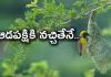 Pudami Sakshiga :పక్షిగూడు గురించి ఈ ఇంట్రెస్టింగ్&zwnj; విషయాలు తెలుసా?