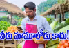 కూరగాయల వ్యాపారి రూ.21 కోట్ల స్కాం: మాస్టర్&zwnj;&nbsp; మైండ్&zwnj; కోసం వేట