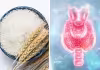థైరాయిడ్&zwnj; ఉంటే అన్నం తినకూడదా?