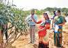 సాగుబడి: సస్యగవ్యతో.. బంజరు భూమి సాగు!