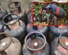 గ్యాస్&zwnj; సిలిండర్&zwnj; ధర తగ్గింపు