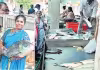 నేడు మృగశిర కార్తె&nbsp;