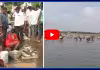 చేపల లూటీ 