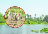 మళ్లీ సాగునీటి సంఘాలు!