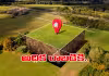 రియల్&zwnj; ఎస్టేట్&zwnj;:  ఫ్లాటా.. ప్లాటా.. ఏది బెటర్&zwnj;?
