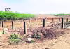 టీడీపీ నేతల దందా.. ఐదు కోట్ల స్థలం హాంఫట్&zwnj;!