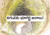 గతేడాది కంటే మరింత పాతాళానికి..  