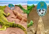 World Crocodile Day 2025 : ఇంట్రస్టింగ్&zwnj; ఫ్యాక్ట్స్&zwnj;, అలరించిన  సాండ్&zwnj; క్రొకోడైల్స్&zwnj;
