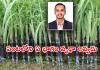గ్రీన్&zwnj; ఎనర్జీ ఆవిష్కరణకు ప్రభుత్వ పేటెంట్&zwnj;