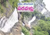 ఈ జలపాతాలను చూసేందుకు రెండు కళ్లు చాల&zwnj;వు!