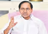 స్పీకర్&zwnj;పై ఒత్తిడి పెంచాలి: కేసీఆర్&zwnj;