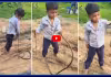 Viral Video: వామ్మో..! కోబ్రాతో చెడుగుడు ఆడుకున్నబుడ్డోడు!