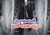 లేడీస్&zwnj; హాస్టల్&zwnj;లోకి దర్జాగా చొరబడి.. అసభ్యంగా ప్రవర్తించి..