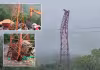 ఘోర విషాదం: తెగిపడిన రోప్&zwnj;వే.. ఆరుగురు మృతి
