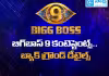 బిగ్&zwnj;బాస్ 9 కంటెస్టెంట్స్.. బ్యాక్ గ్రౌండ్ డీటైల్స్ (ఫొటోలు)
