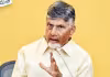 ఏపీలో మెడికల్ కాలేజీల ప్రైవేటీకరణకు ఉత్తర్వులు జారీ