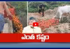 ఎక్కడున్నావయ్యా బాబూ.. ఆదుకుంటామని మోసం చేసావ్