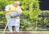 బ్రిటన్&zwnj; రాజు కానుకగా ఇచ్చిన&nbsp;మొక్క నాటిన ప్రధాని