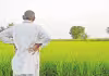 బోనస్&zwnj; బకాయి రూ.1,159.64 కోట్లు