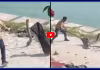 Viral Video: దటీజ్ కోబ్రా.. దాని పౌరుషం చూస్తే.. గుండె గుభేల్