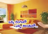 కొత్త ఇంటికి ఏం రంగులేద్దాం.. ఉందిగా ట్రెండింగ్&zwnj; కలర్&zwnj;!