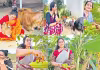 సీతావనం&nbsp;