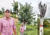 చెట్లు తప్పు చేయవు..చెట్లను బతికిస్తున్నాడు 