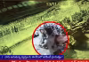 29వ సీటు నుంచి 11వ సీటుకు సతీష్ లగేజీ