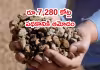 భారత్&zwnj;లో రేర్ ఎర్త్ మాగ్నెట్స్&zwnj; ఉత్పత్తికి ప్రోత్సాహకాలు
