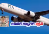 అమ్మకానికి పాక్&zwnj; ఎయిర్&zwnj;లైన్స్&zwnj;.. గుంటనక్క చేతికే!