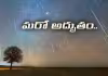 ఆకాశానికి రంగులు అద్దిన ఉల్కలు!