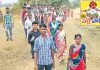 నడిచొచ్చే ప్రజాస్వామ్యం