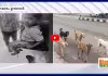 వీధి కుక్క దాడి.. ఐదుగురికి గాయాలు