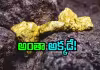 భూగర్భంలో విలువైన సంపద.. భారత్&zwnj;లో ఎక్కడుందంటే?