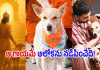 ధర్మరాజు లేకుండానే.. అలుపెరుగని ప్రయాణం