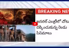 ఆస్కార్ కు అడుగు దూరంలో కాంతారా, మహావతార్..