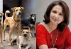 Stray Dogs case : నటి షర్మిలకు సుప్రీం స్ట్రాంగ్&zwnj; కౌంటర్&zwnj; 