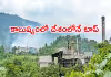 ఢిల్లీనే మించిన బర్నీహాట్&zwnj;!
