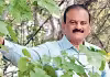 అతడు అడవులను సృష్టిస్తున్నాడు!  