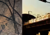 Delhi: మెట్రోలో కేబుళ్ల ధ్వంసం.. ఫలితంగా..