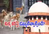 రాష్ట్రాలకు సుప్రీం కోర్టు హెచ్చరిక