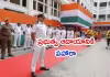 భారత రెవెన్యూ వ్యవస్థలో ఆర్థిక సైనికులు