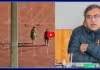పెంపుడు కుక్క కోసం...స్టేడియం ఖాళీ చేయించిన IASకు మళ్లీ పోస్టింగ్