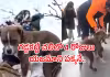 వీడియో: హచికో గుర్తుందా..? అలాంటి విశ్వాసమే ఇది! కానీ..