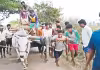 తగ్గేదేలే అన్న మాట&hellip; ఈ ఎద్దుకే సరిపోతుంది!