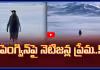 సోషల్ మీడియాలో వైరల్ గా మారిన ఒంటిరి పెంగ్విన్ వీడియో