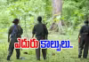 బీజాపూర్&zwnj;లో ఎన్&zwnj;కౌంటర్&zwnj;.. ఇద్దరు మావోలు హతం