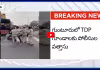 అంబటిపై దాడిని అడ్డుకున్న YSRCP కార్యకర్తపై పోలీసుల దౌర్జన్యం